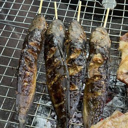 ปลาดุกย่าง