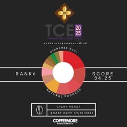 Light TCE2025 RANK 6