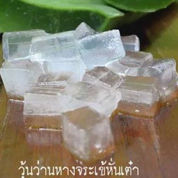 Topping วุ้นว่านหางจระเข้