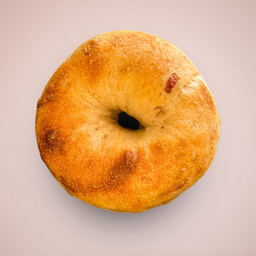 Cranberry Pecan Sourdough Bagel