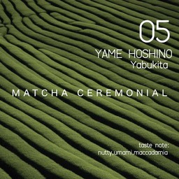 05 Yame Hoshino - Yabukita