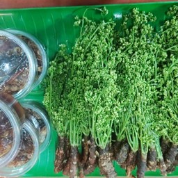 สะเดา 1 กำ