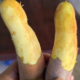 ร้านแก้ว ผลไม้ตามฤดูการ สุรนารี