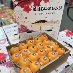 ส้มแมนดารินไต้หวัน ตราช้าง ซากุระ