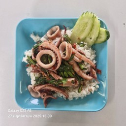 กะเพราปลาหมึกราดข้าว