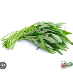 ผักบุ้ง