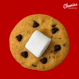 Choc Chip Marshmallow (1 piece)