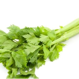 ขึ้นฉ่าย