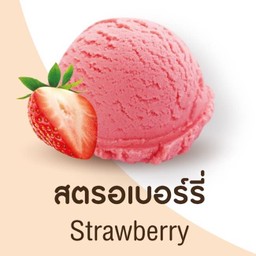 ไอศกรีมสตรอว์เบอร์รี่ : Strawberry Ice cream