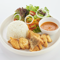 L ข้าวราด ฉู่ฉี่ปลากระพง