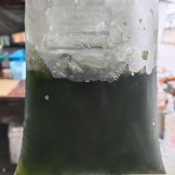 ชาเชียวออเย็น