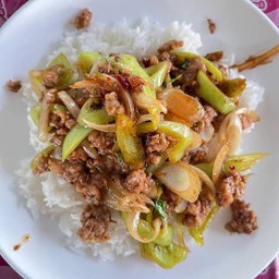 ผัดพริกสด