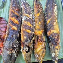 ปลาดุกย่าง