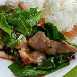 ข้าวราดผัดคะน้าใส่ไก่