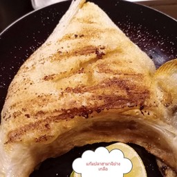 แก้มปลาฮามาจิย่าง