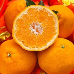 ส้มจุก 1 กก.