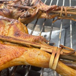 ไก่ย่าง เต็มตัว เขาสวนกวาง