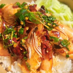 กระเพรากุ้ง