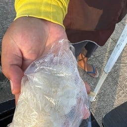 หมูปิ้งบ้านเหลือง สาขาขนส่ง