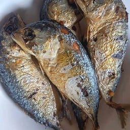 ปลาทูทอด