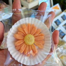 อาลัว ดอกเดซี่ สีส้ม