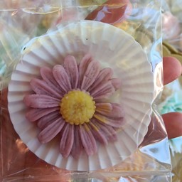 อาลัวเดซี่ สีม่วง