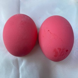 ไข่เยี่ยวม้า (1ลูก)