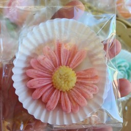 อาลัวดอกเดซี่ สีชมพู