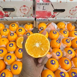 ส้มใต้หวัน 5 กก/กล่อง