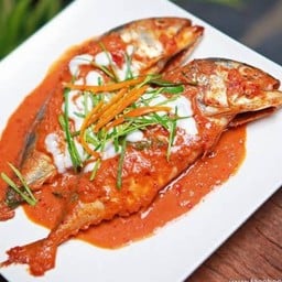 ปลาทูชูชี่(ขนาดกลาง ) 2 ตัว