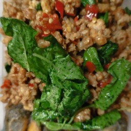 กะเพราหอมbyมีมี่-คลองสอง