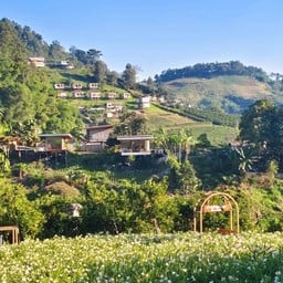 สวนส้มคุณลุง เชียงใหม่