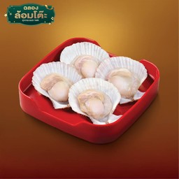 หอยเชลล์พรีเมียม