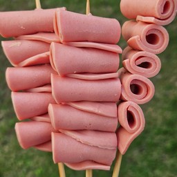 โบโลน่า