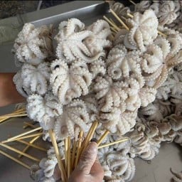 หมึกย่างดิวะ