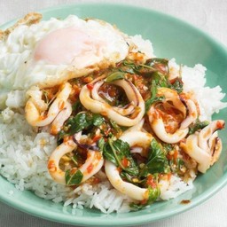 ผัดกระเพราหมึกราดข้าว