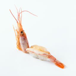 315 Aka Ebi Nigiri (2Pcs)