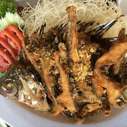 ปลานิลทอดกระเทียม