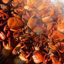 เพิ่มปูนา ++