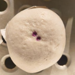 อาเฮียซาลาเปา เส้นหน้าวัดใหญ่