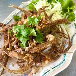 รากกล้วย