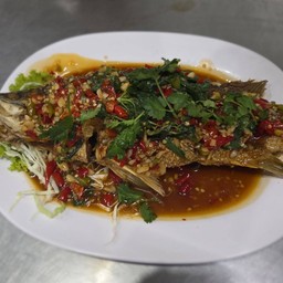 ปลากะพงราดพริก ( ตัว )