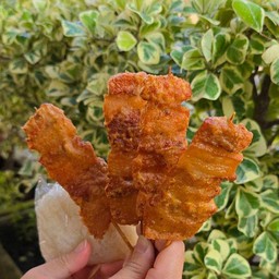 หมูกระเทียม(ชุดเล็ก) : หมูกระเทียม 4 ข้าวเหนียว 1