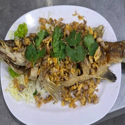 ปลากะพงทอดกระเทียม