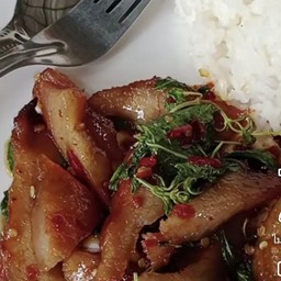 ข้าวกระเพราคอหมูย่าง