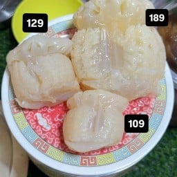 แมงกระพรุนหัวกระสุนbyจิจร้าน2895 แมงกระพรุนหัวกระสุน