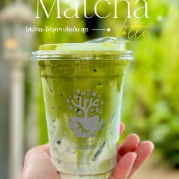 มัทฉะ ลาเต้ ( Basic ) only delivery