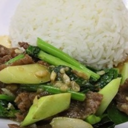 KH02.37 ผัดน้ำมันหอย คะน้า 50 กรัม ราดช้าว