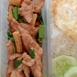 กระเพราหมูนุ่มราดข้าวไข่ดาว