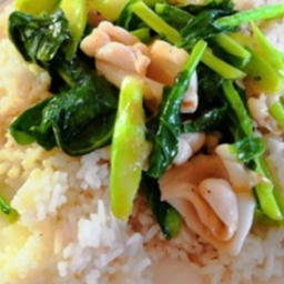 KH02.39 ผัดน้ำมันหอย คะน้า 50 กรัม ปลาหมึก 50 กรัม ราดช้าว